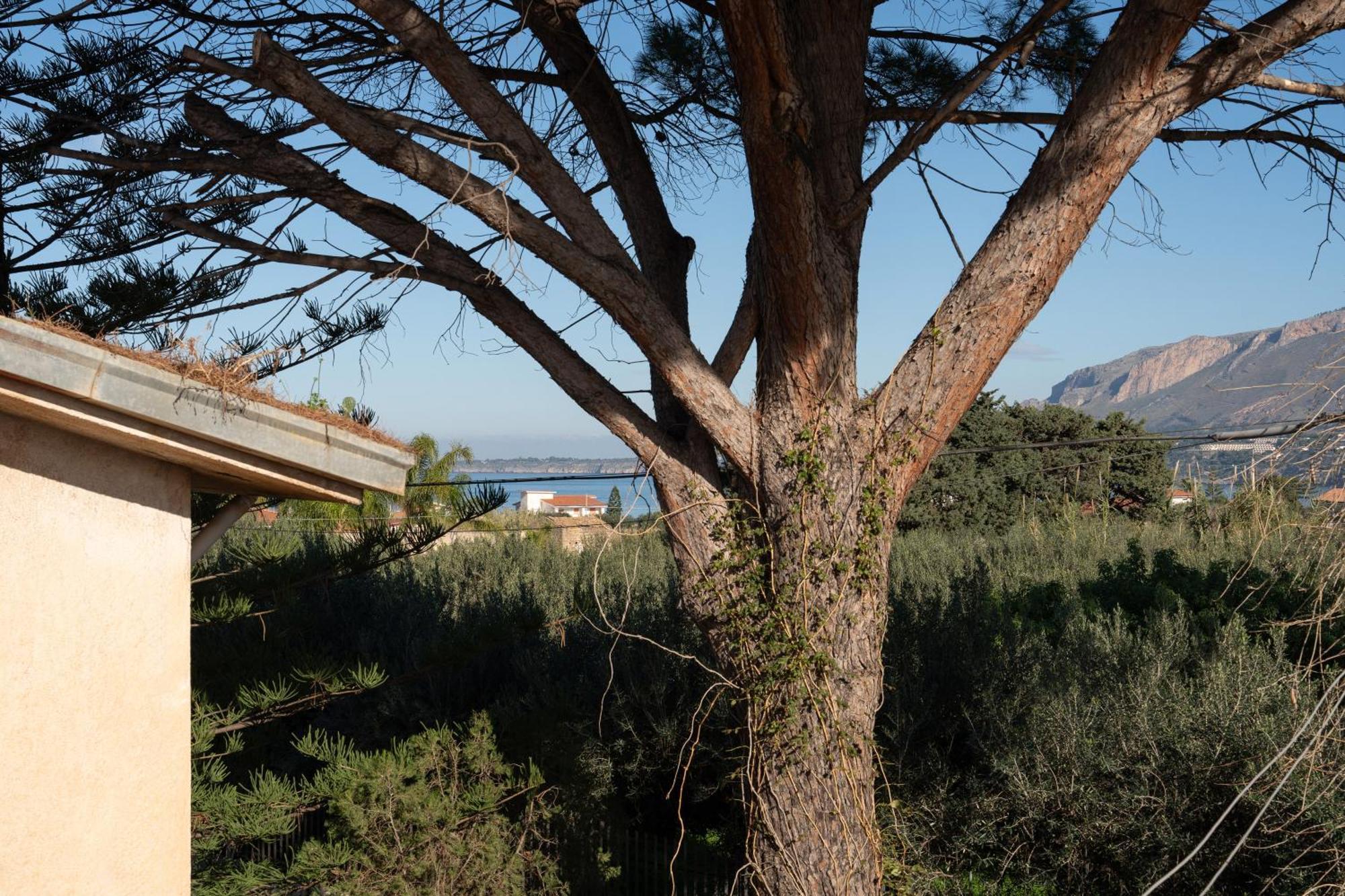 Vila Casa Delle Pomelie Trappeto  Exteriér fotografie